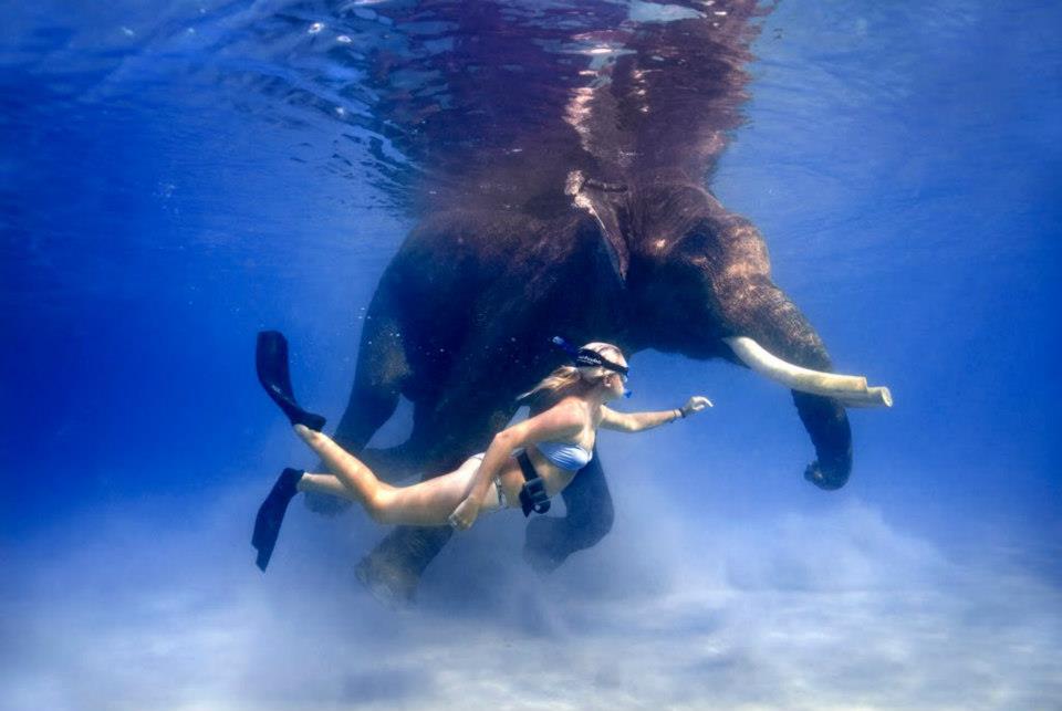 DIVE HOLIDAYS